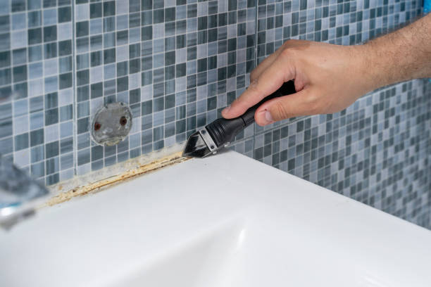 Best Mold Testing and Inspection Services in Homer, MI