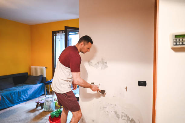 Best Localized Mold Remediation (e.g., coastal areas, humid climates) in Homer, MI